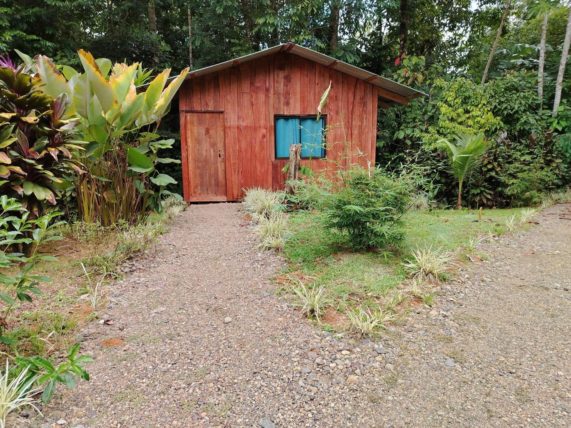 Citronela Lodge Corcovado Drake Bay Exterior photo