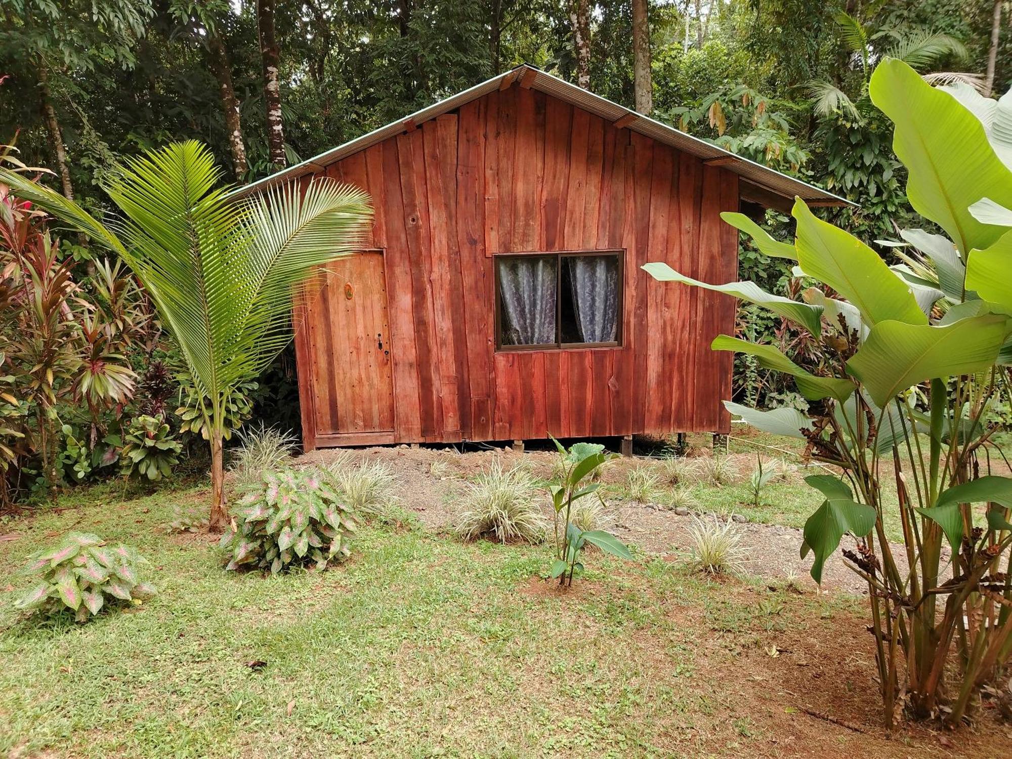 Citronela Lodge Corcovado Drake Bay Exterior photo