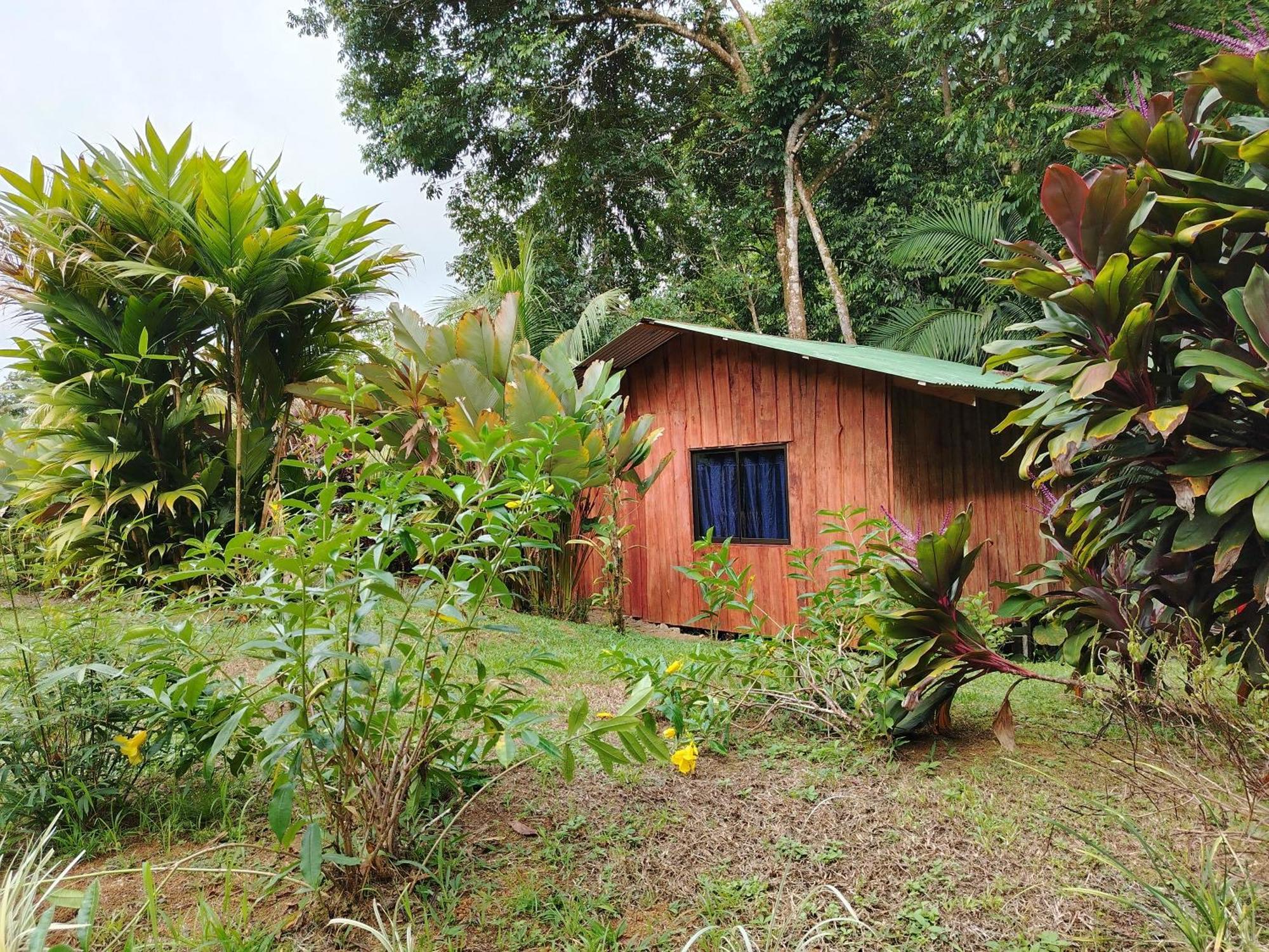 Citronela Lodge Corcovado Drake Bay Exterior photo