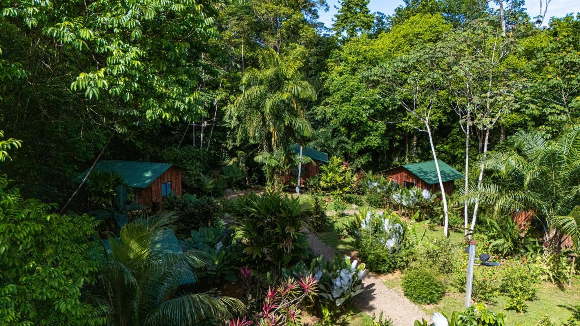 Citronela Lodge Corcovado Drake Bay Exterior photo