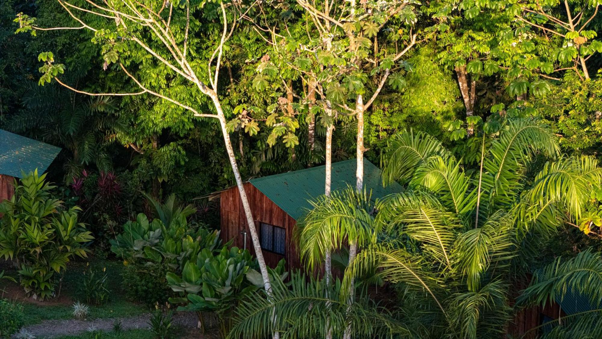 Citronela Lodge Corcovado Drake Bay Exterior photo