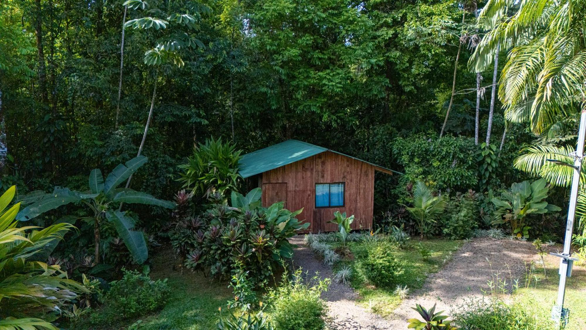 Citronela Lodge Corcovado Drake Bay Exterior photo