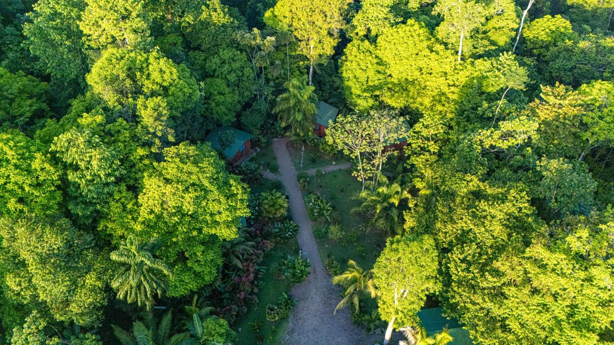 Citronela Lodge Corcovado Drake Bay Exterior photo