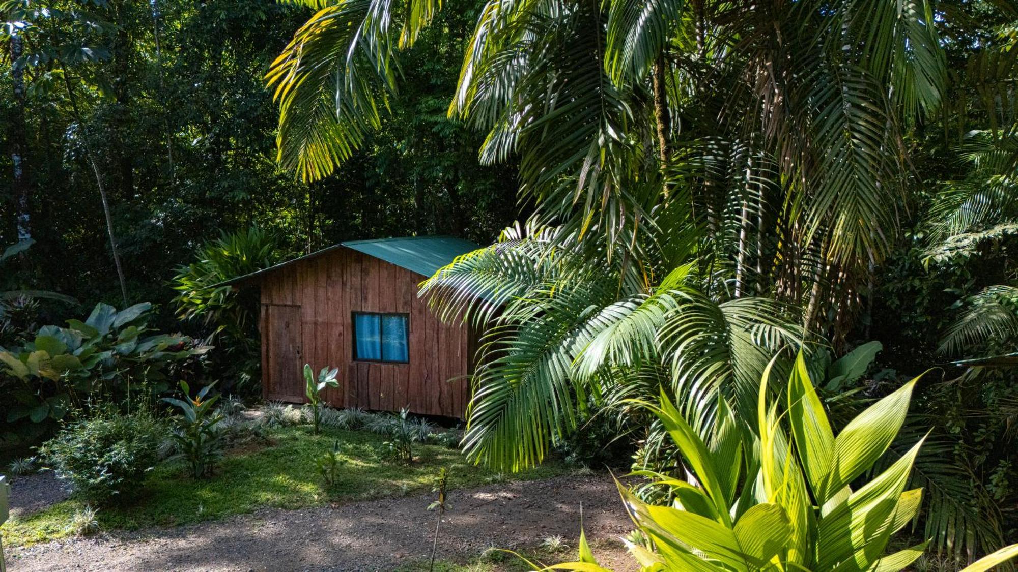 Citronela Lodge Corcovado Drake Bay Exterior photo