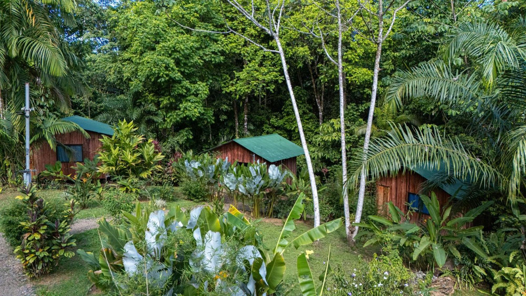 Citronela Lodge Corcovado Drake Bay Exterior photo