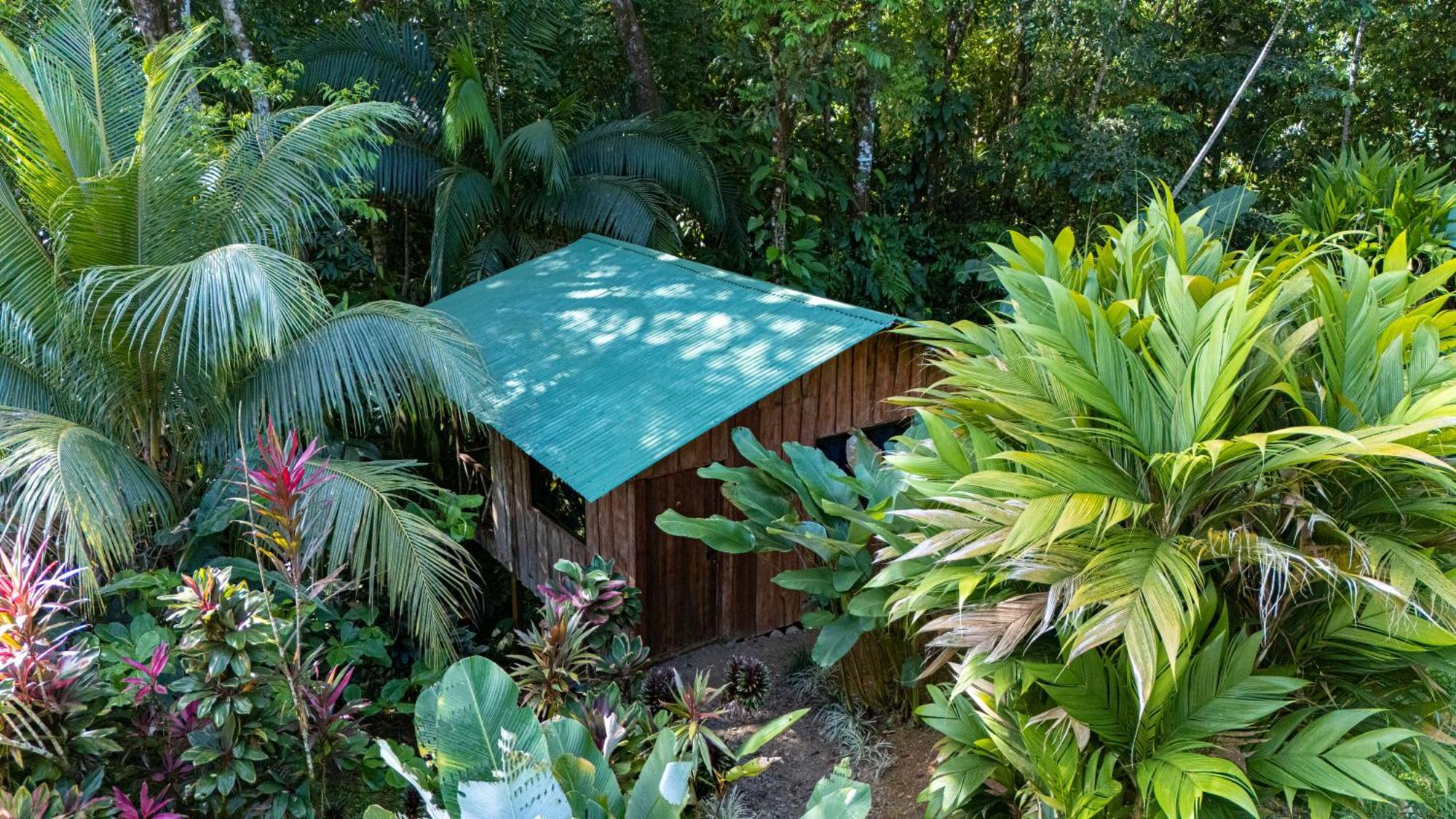 Citronela Lodge Corcovado Drake Bay Exterior photo