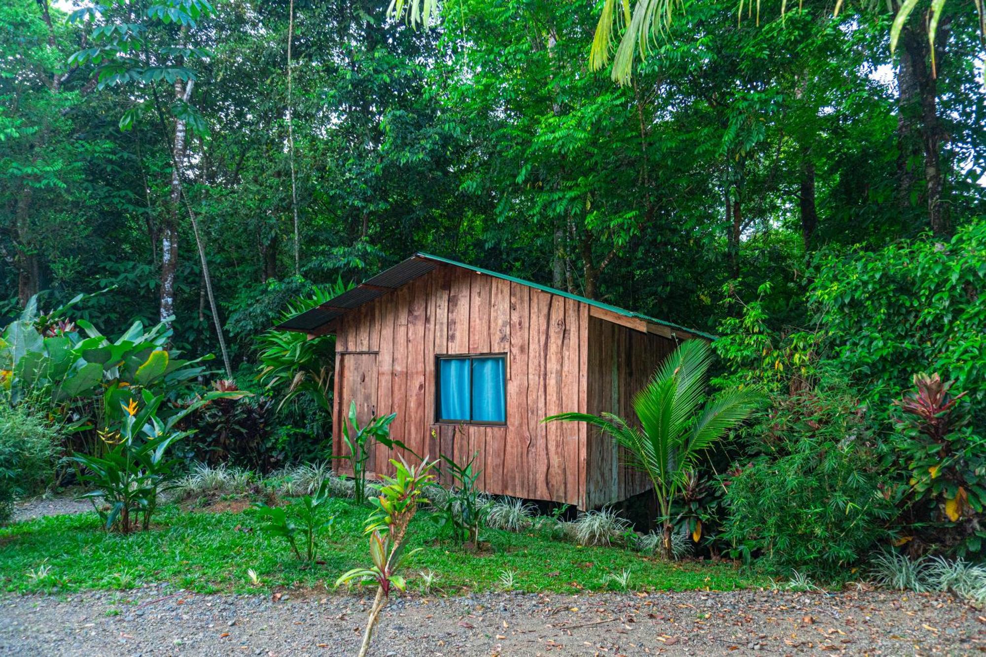 Citronela Lodge Corcovado Drake Bay Exterior photo