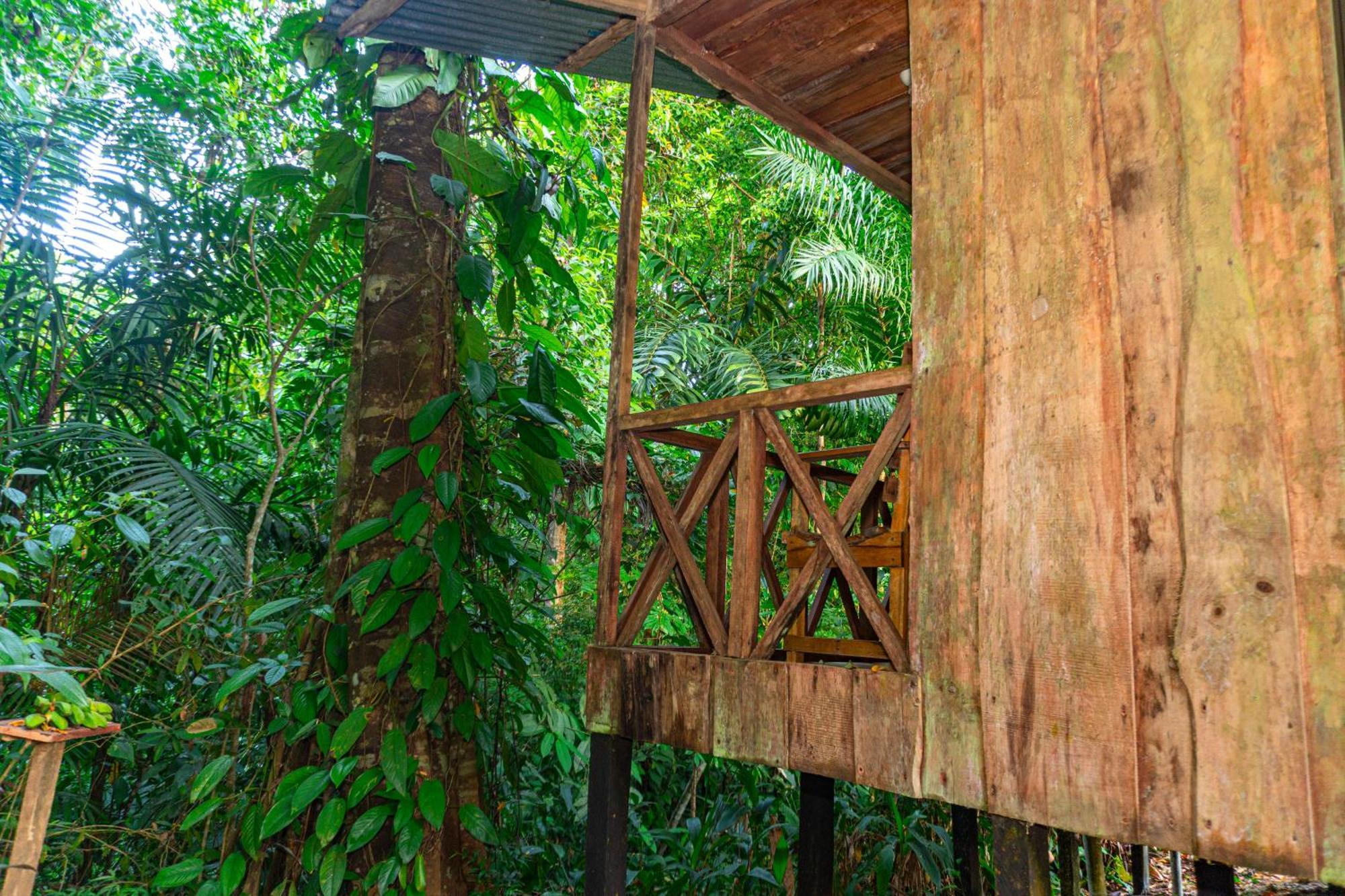 Citronela Lodge Corcovado Drake Bay Exterior photo