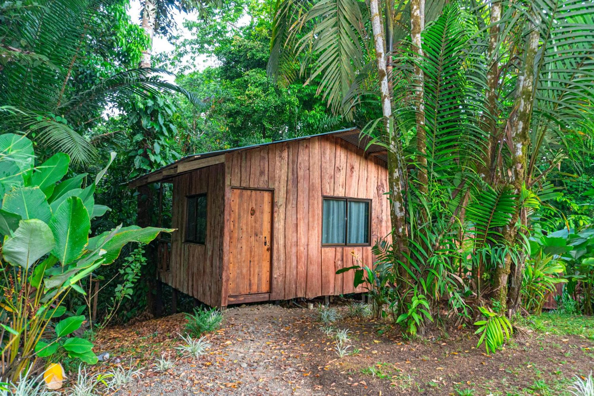 Citronela Lodge Corcovado Drake Bay Exterior photo