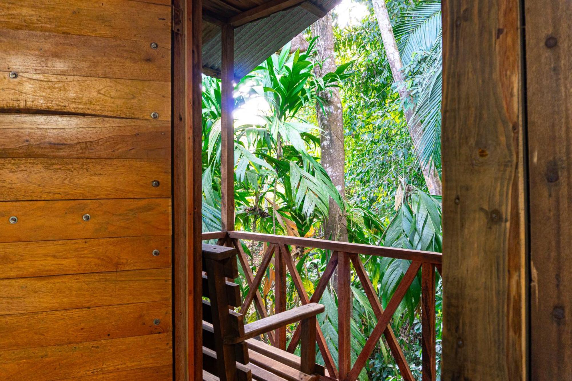 Citronela Lodge Corcovado Drake Bay Exterior photo