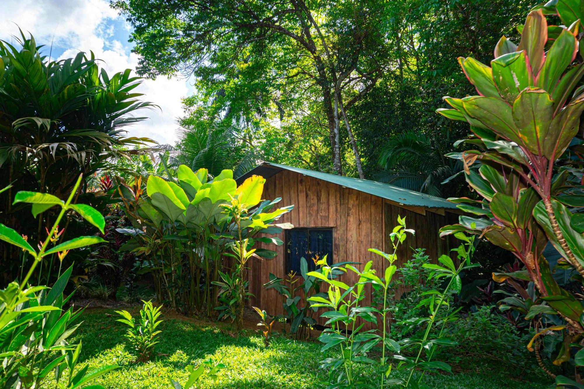 Citronela Lodge Corcovado Drake Bay Exterior photo