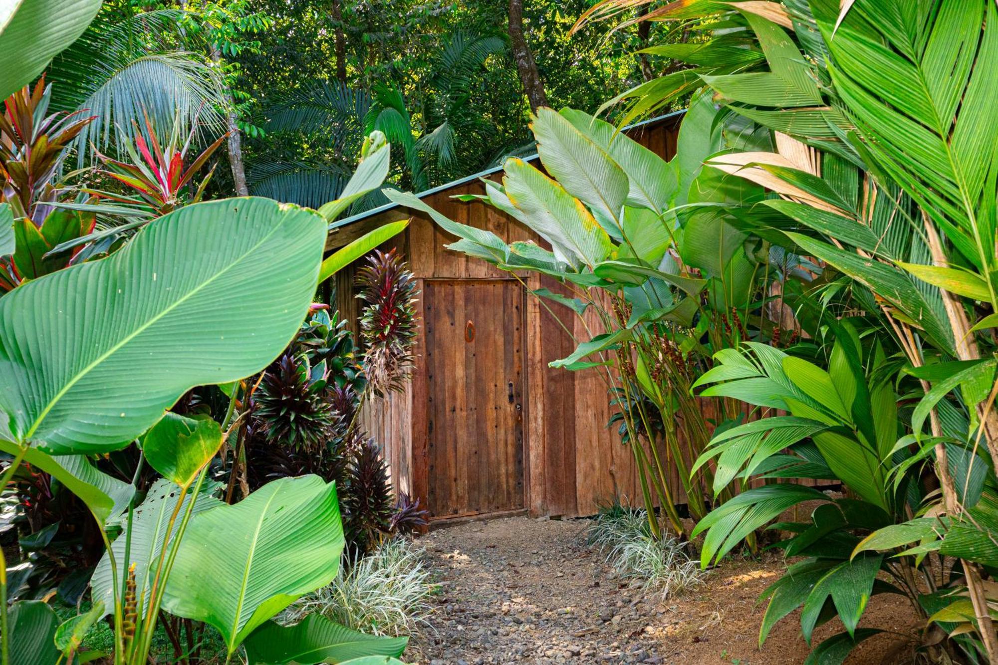 Citronela Lodge Corcovado Drake Bay Exterior photo