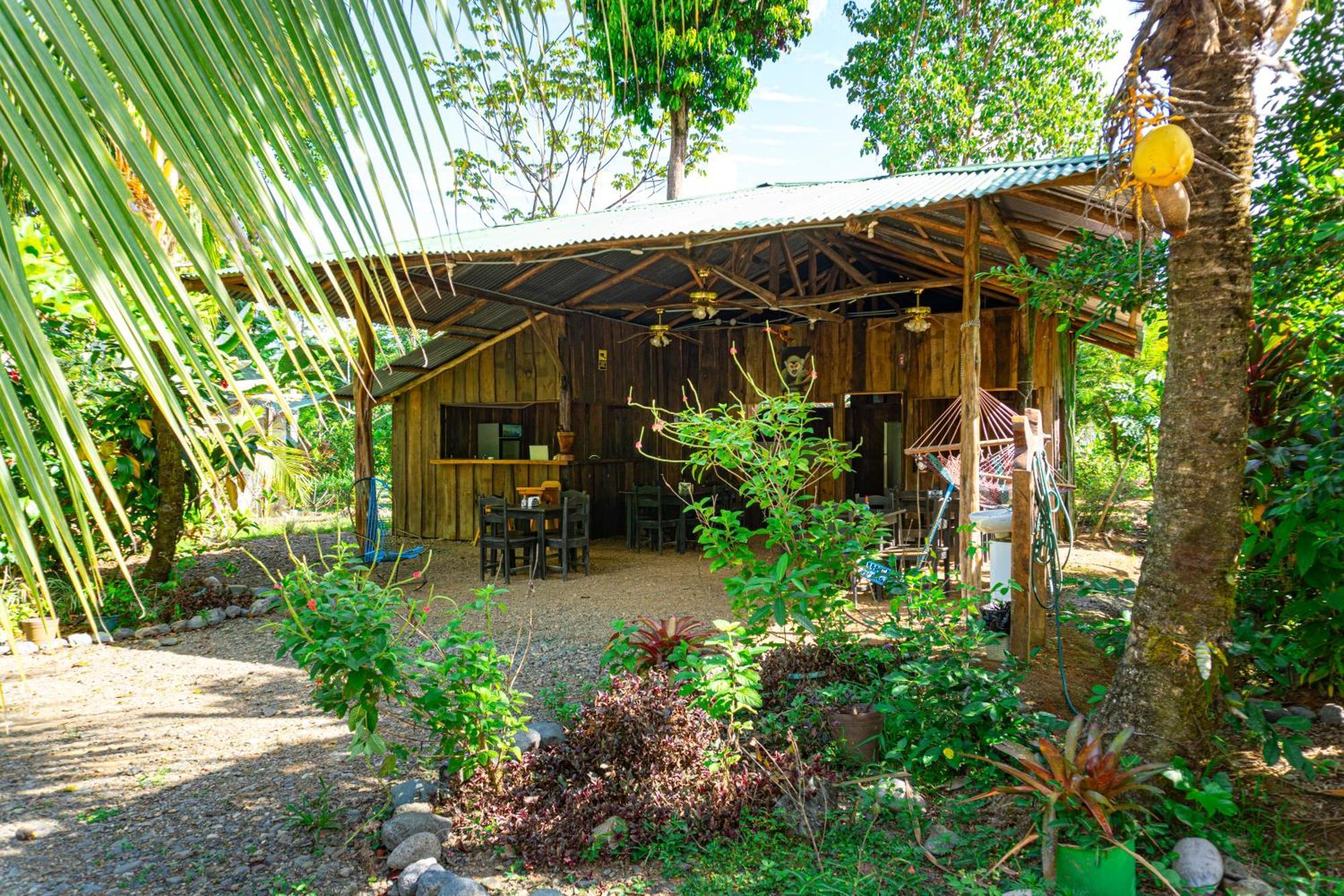 Citronela Lodge Corcovado Drake Bay Exterior photo