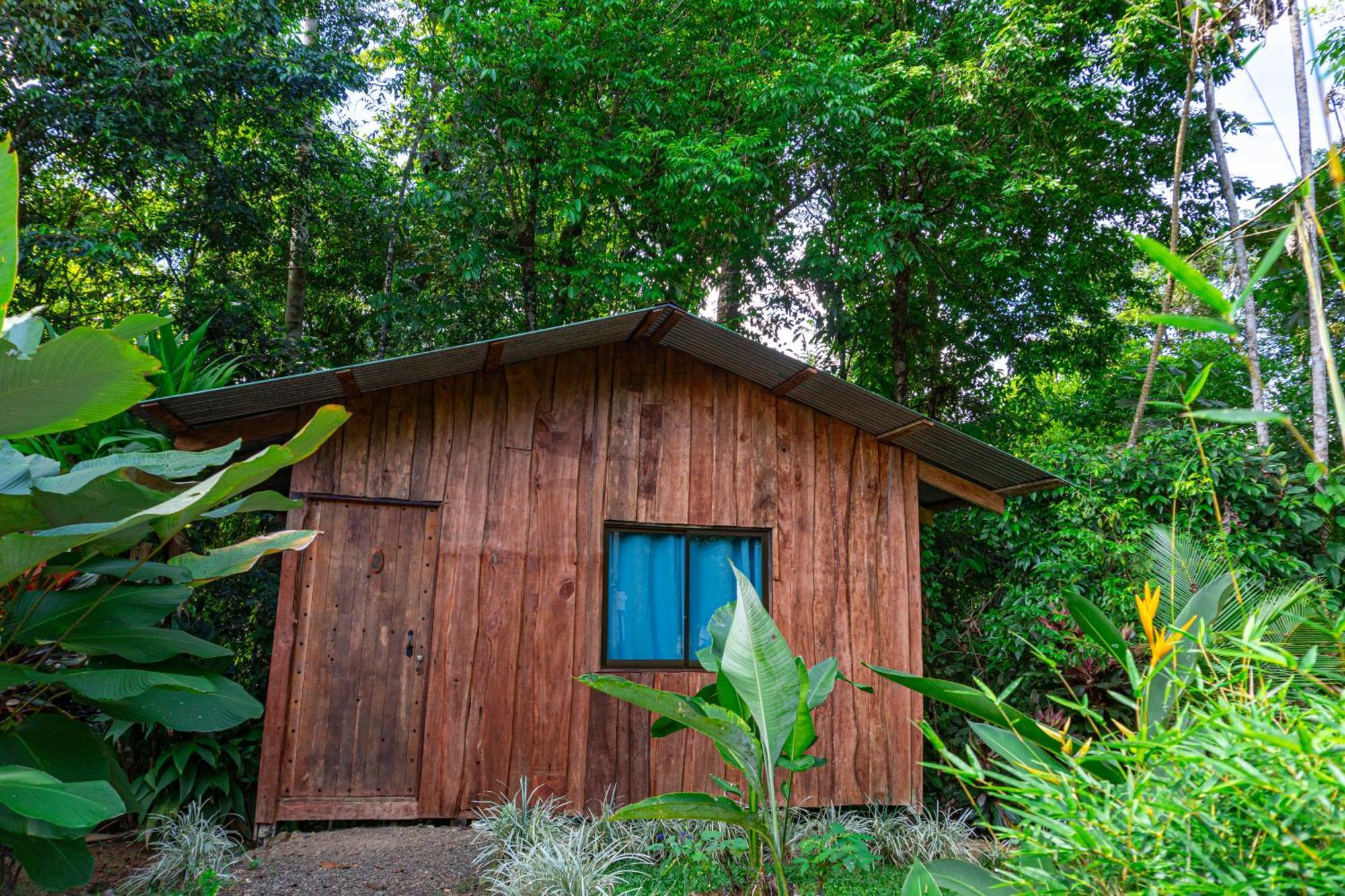 Citronela Lodge Corcovado Drake Bay Exterior photo