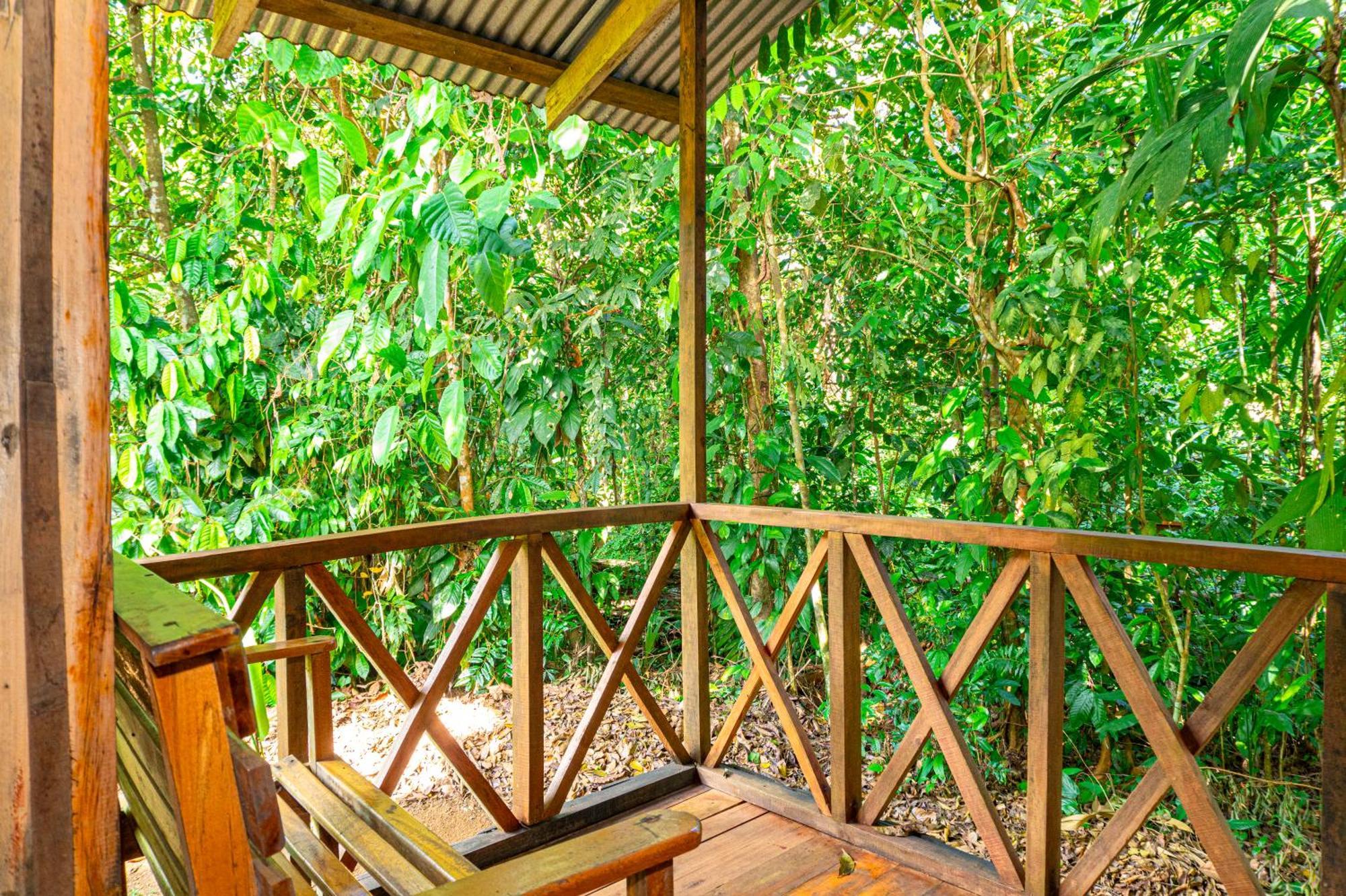 Citronela Lodge Corcovado Drake Bay Exterior photo